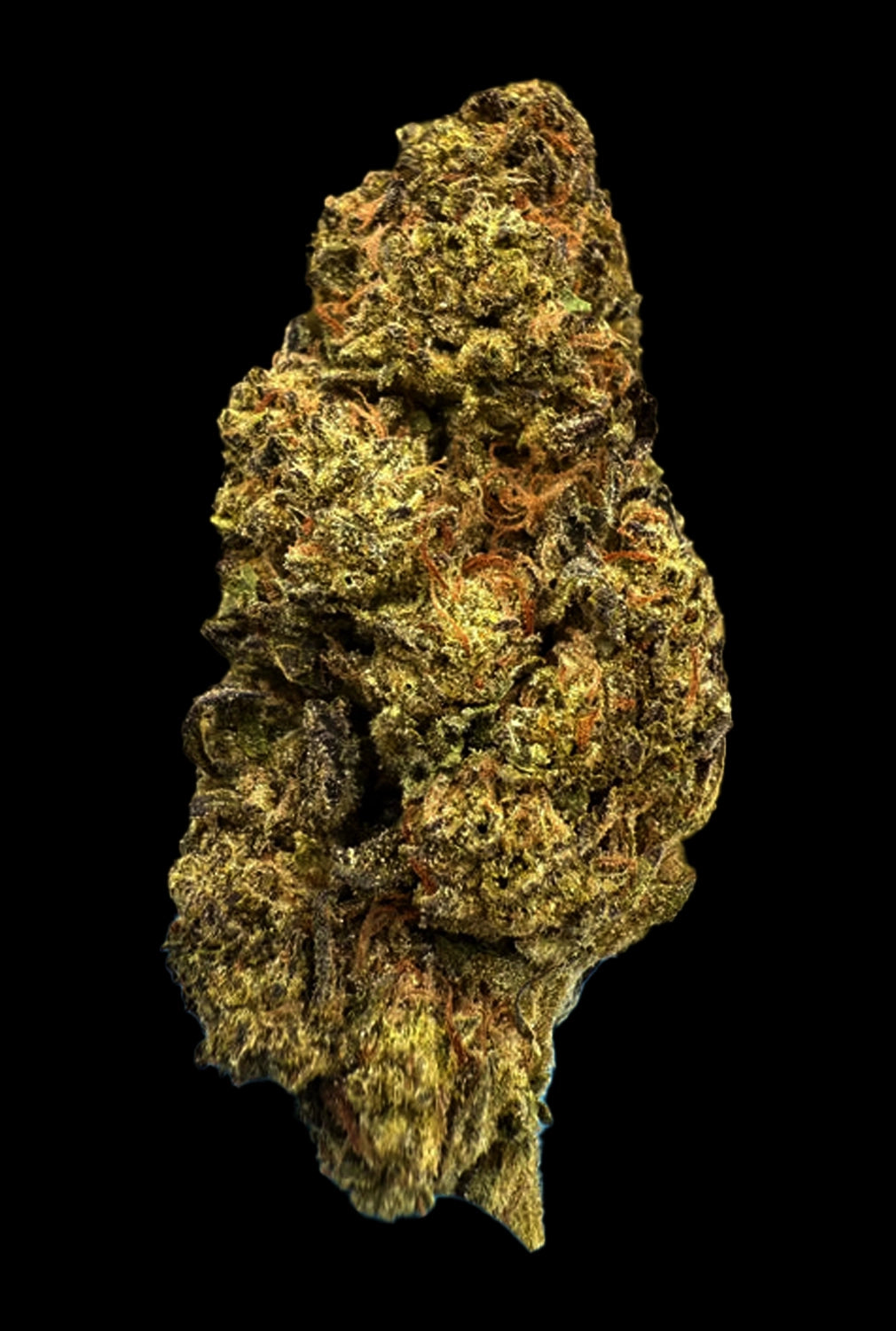 Stoner Rainbow Runtz THCA Flower - Stoner Premium