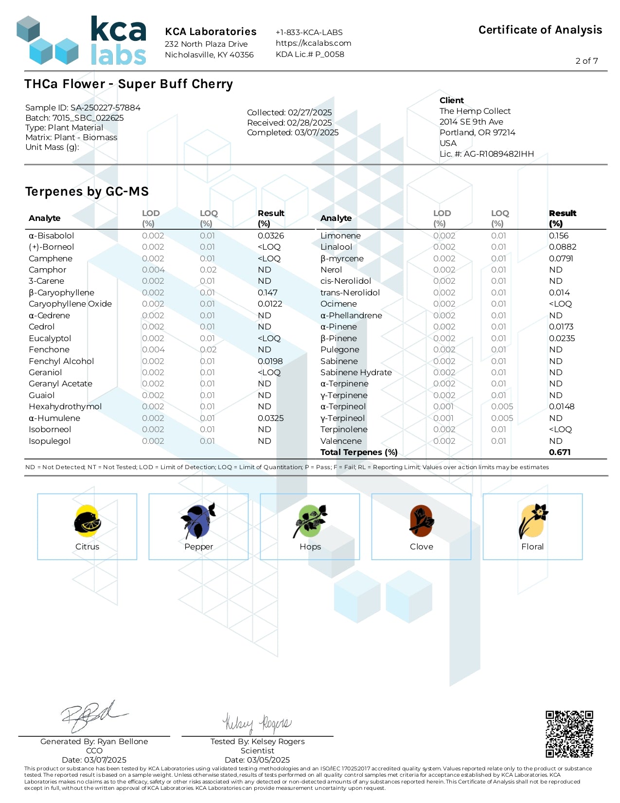Modern Herb Co THCA Flower