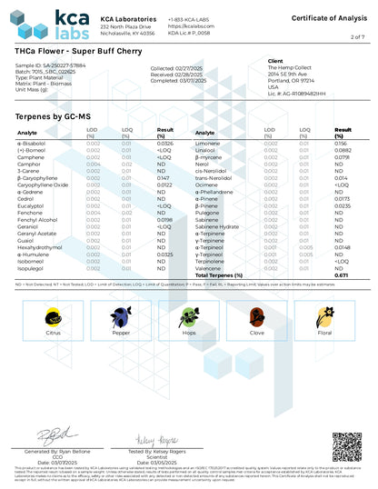 Modern Herb Co THCA Flower