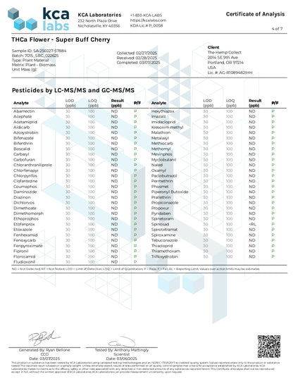 Modern Herb Co THCA Flower