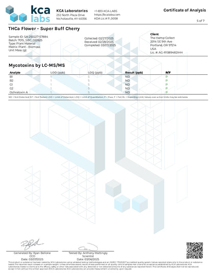 Modern Herb Co THCA Flower