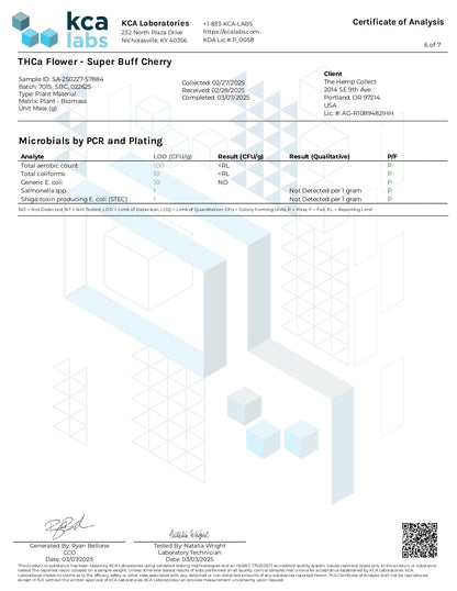 Modern Herb Co THCA Flower