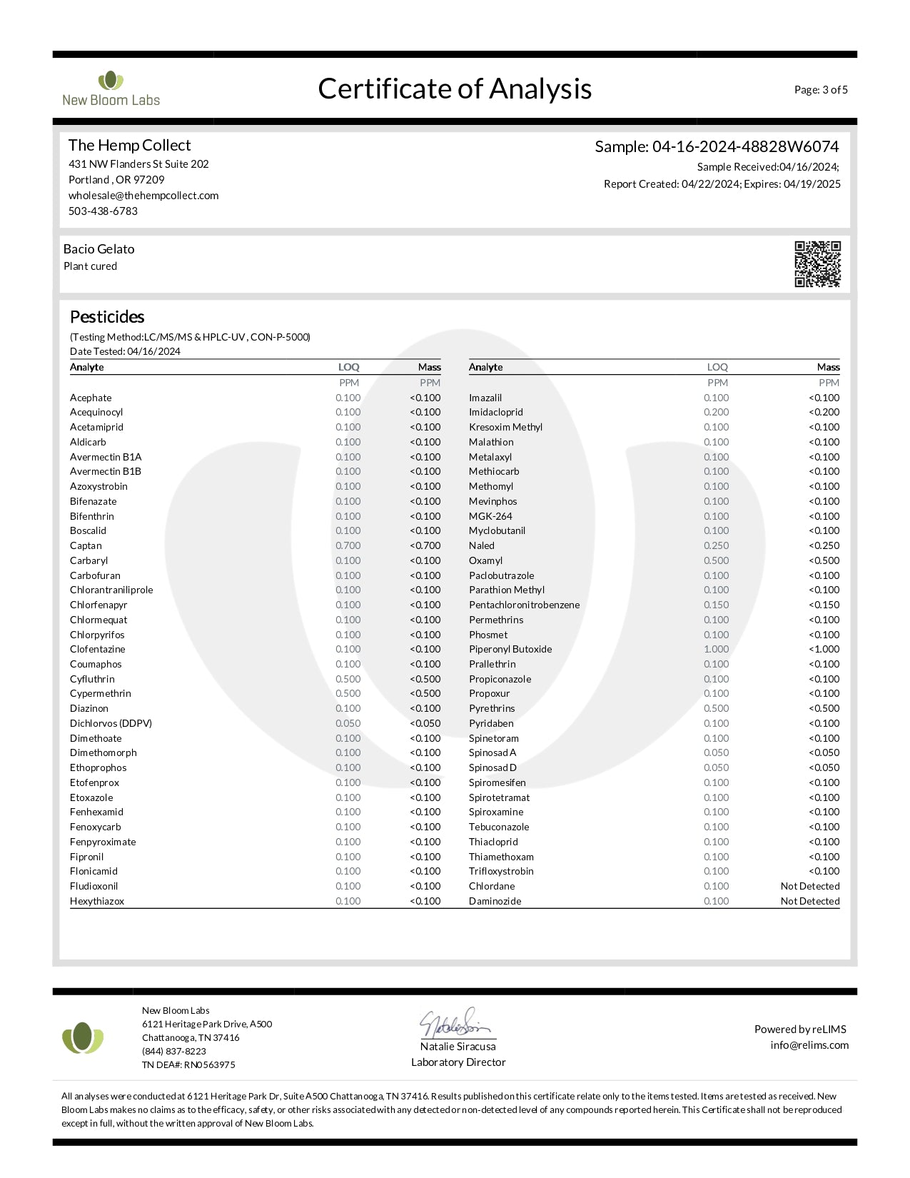 Modern Herb Co THCA Flower