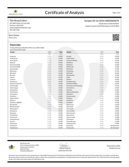 Modern Herb Co THCA Flower