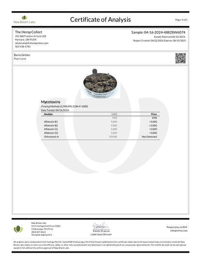 Modern Herb Co THCA Flower