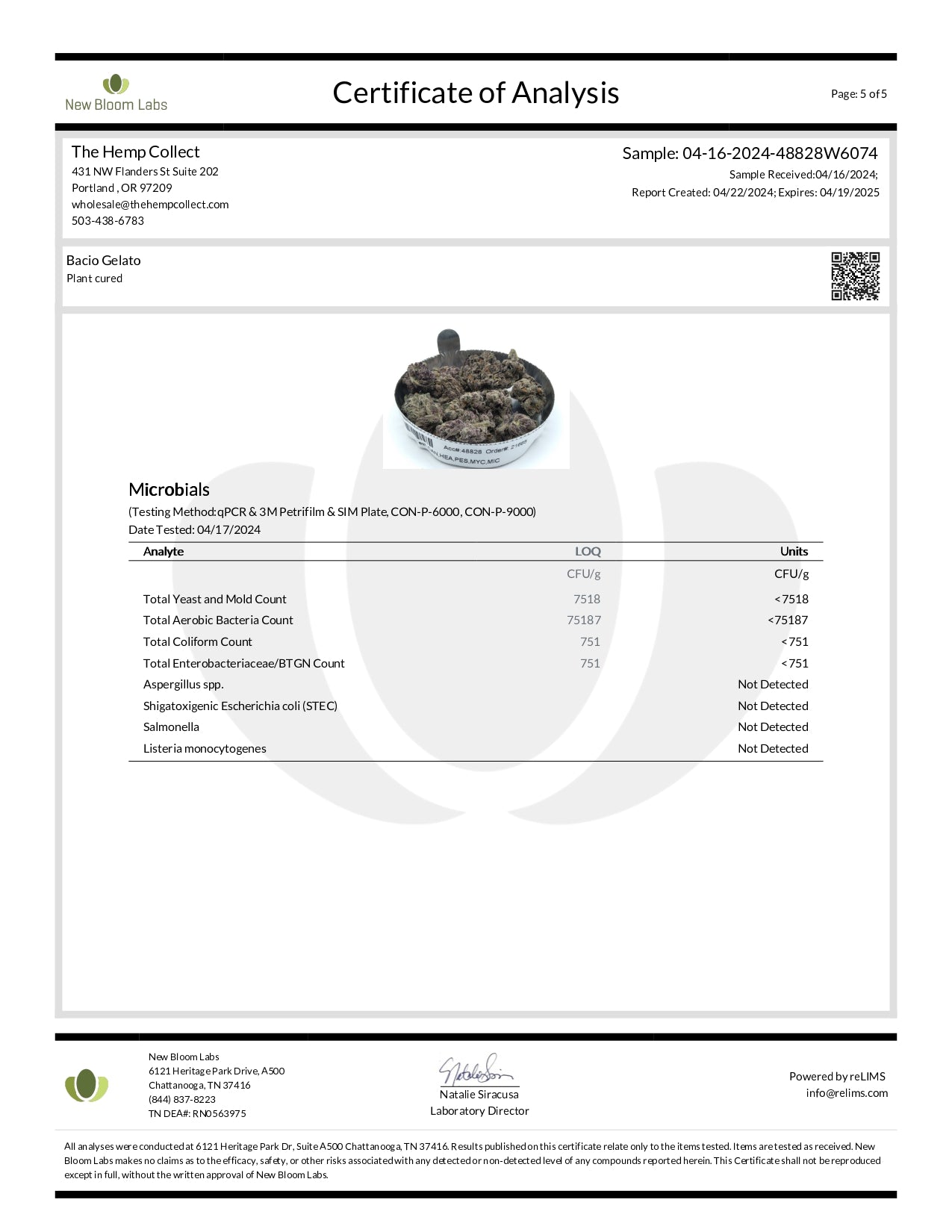 Modern Herb Co THCA Flower