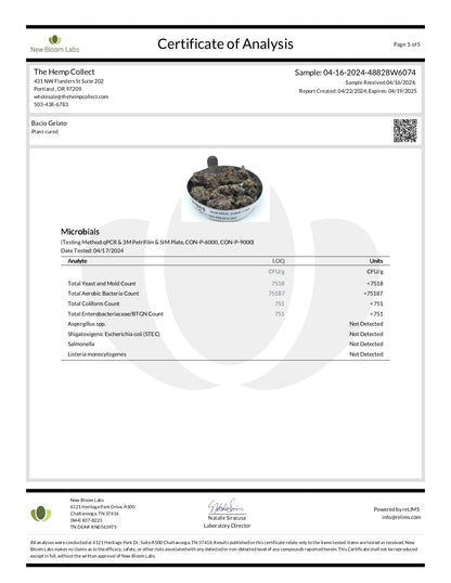 Modern Herb Co THCA Flower