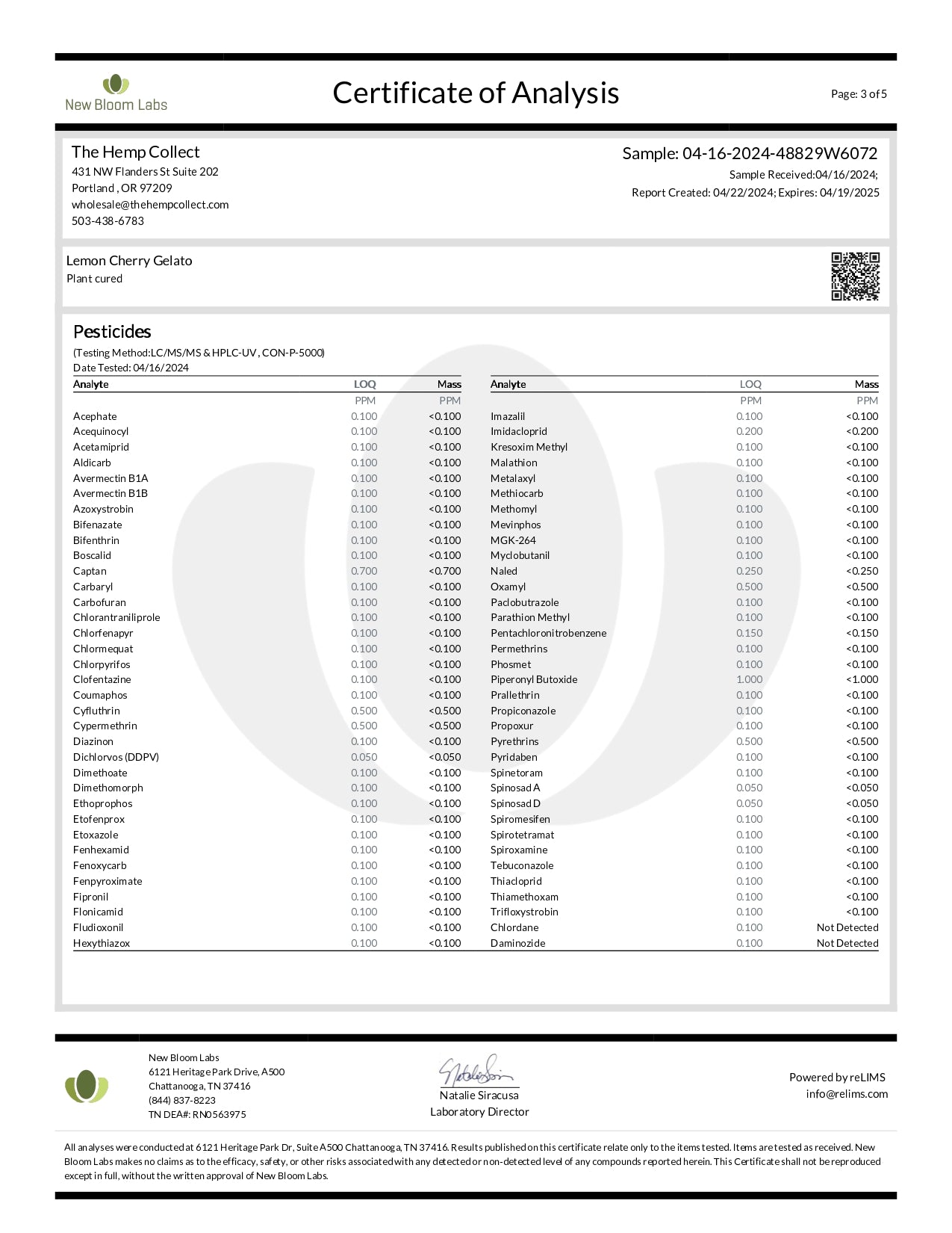 Modern Herb Co THCA Flower