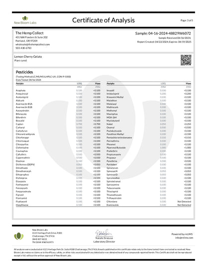 Modern Herb Co THCA Flower
