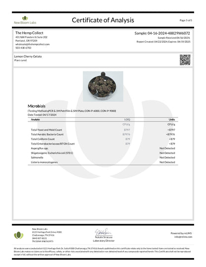 Modern Herb Co THCA Flower