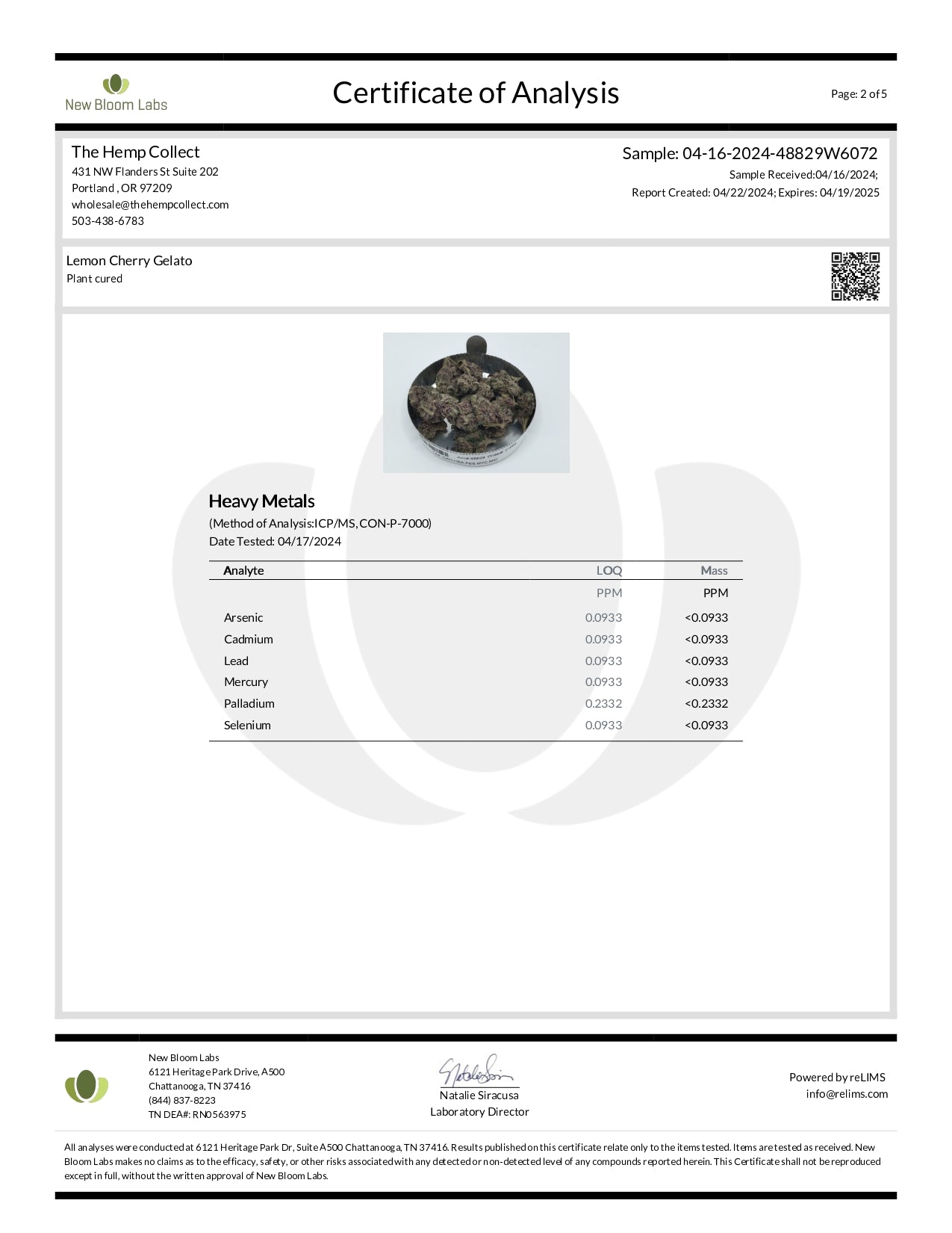 Modern Herb Co THCA Flower