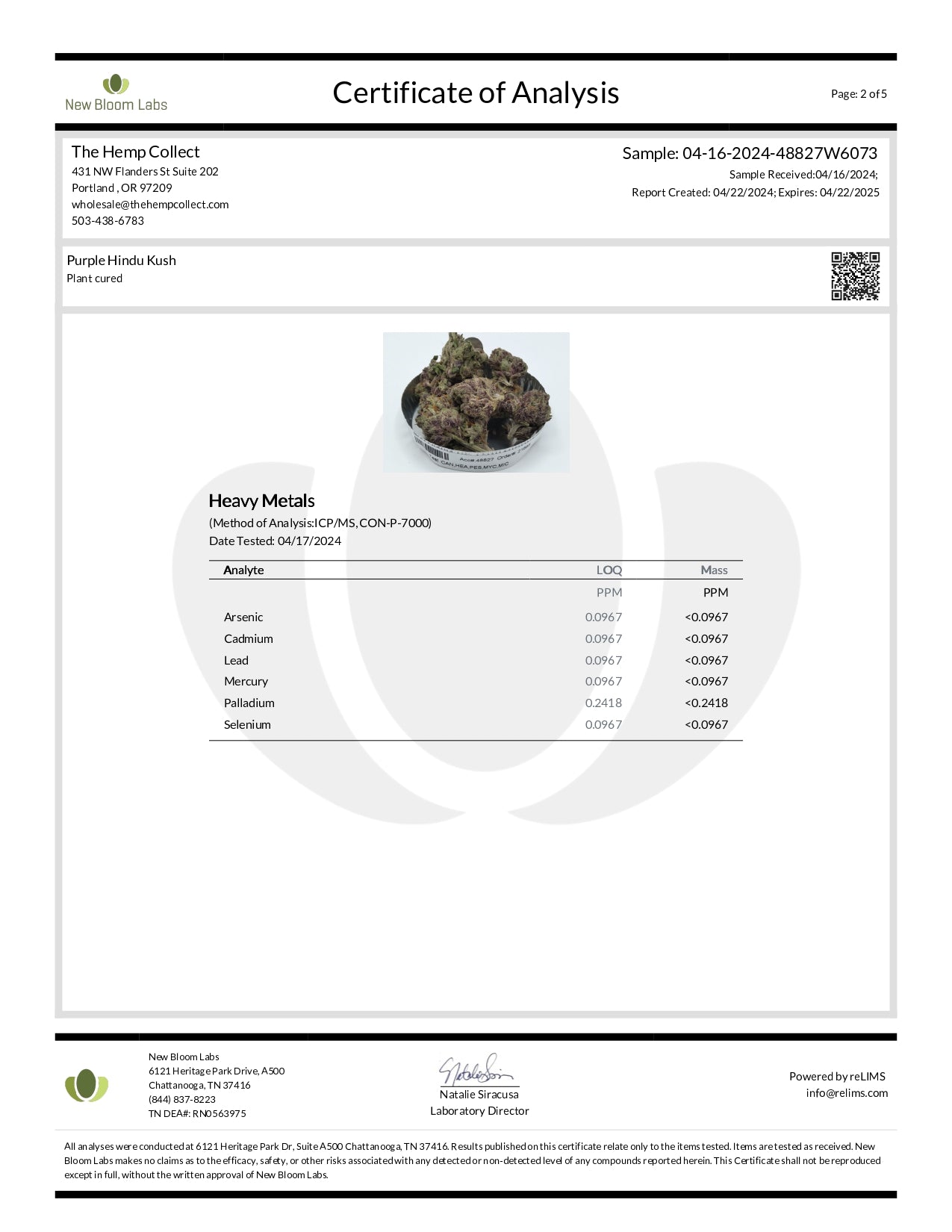 Modern Herb Co THCA Flower