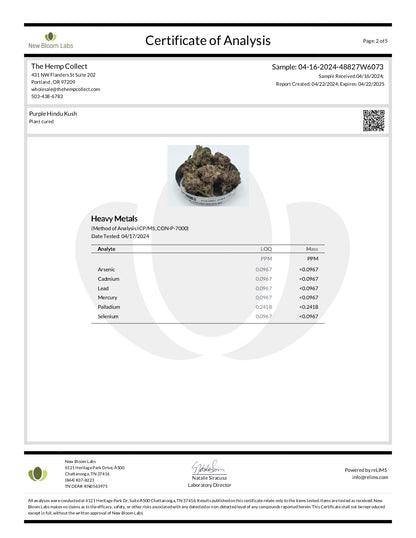 Modern Herb Co THCA Flower