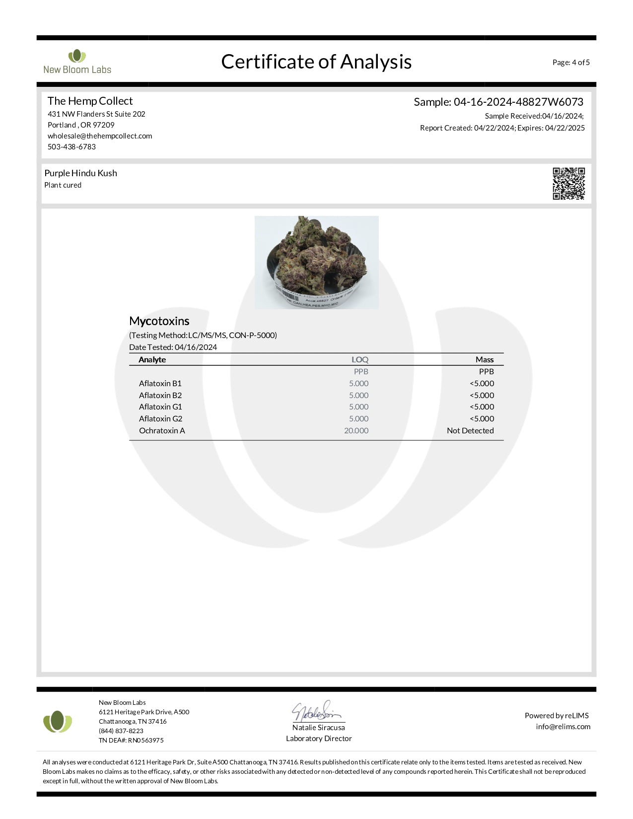 Modern Herb Co THCA Flower