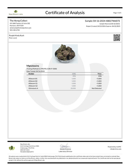 Modern Herb Co THCA Flower