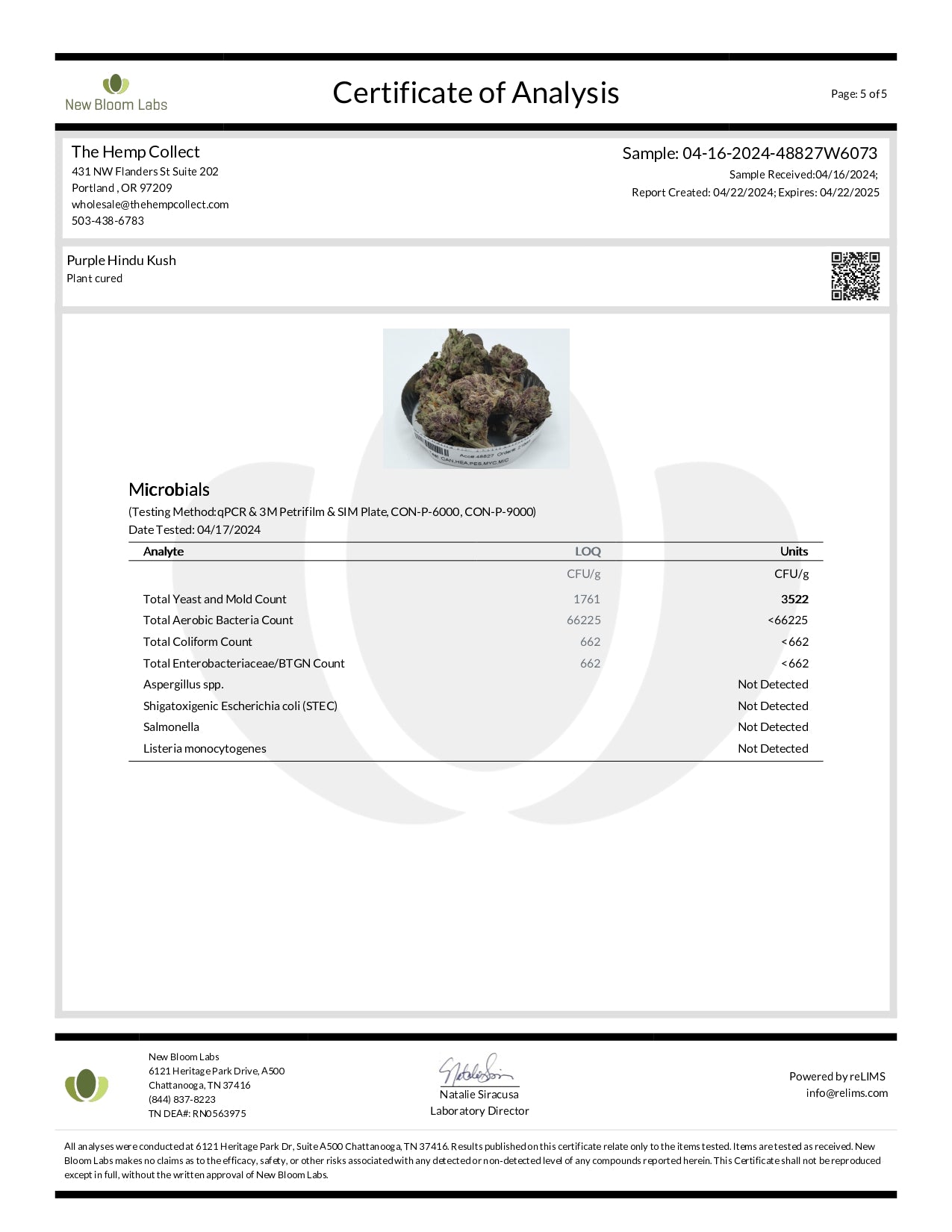 Modern Herb Co THCA Flower