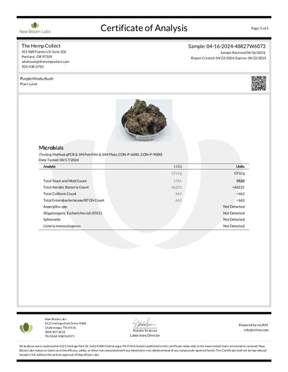 Modern Herb Co THCA Flower