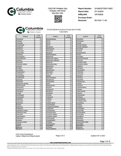 WYLD D9 Blend Gummies