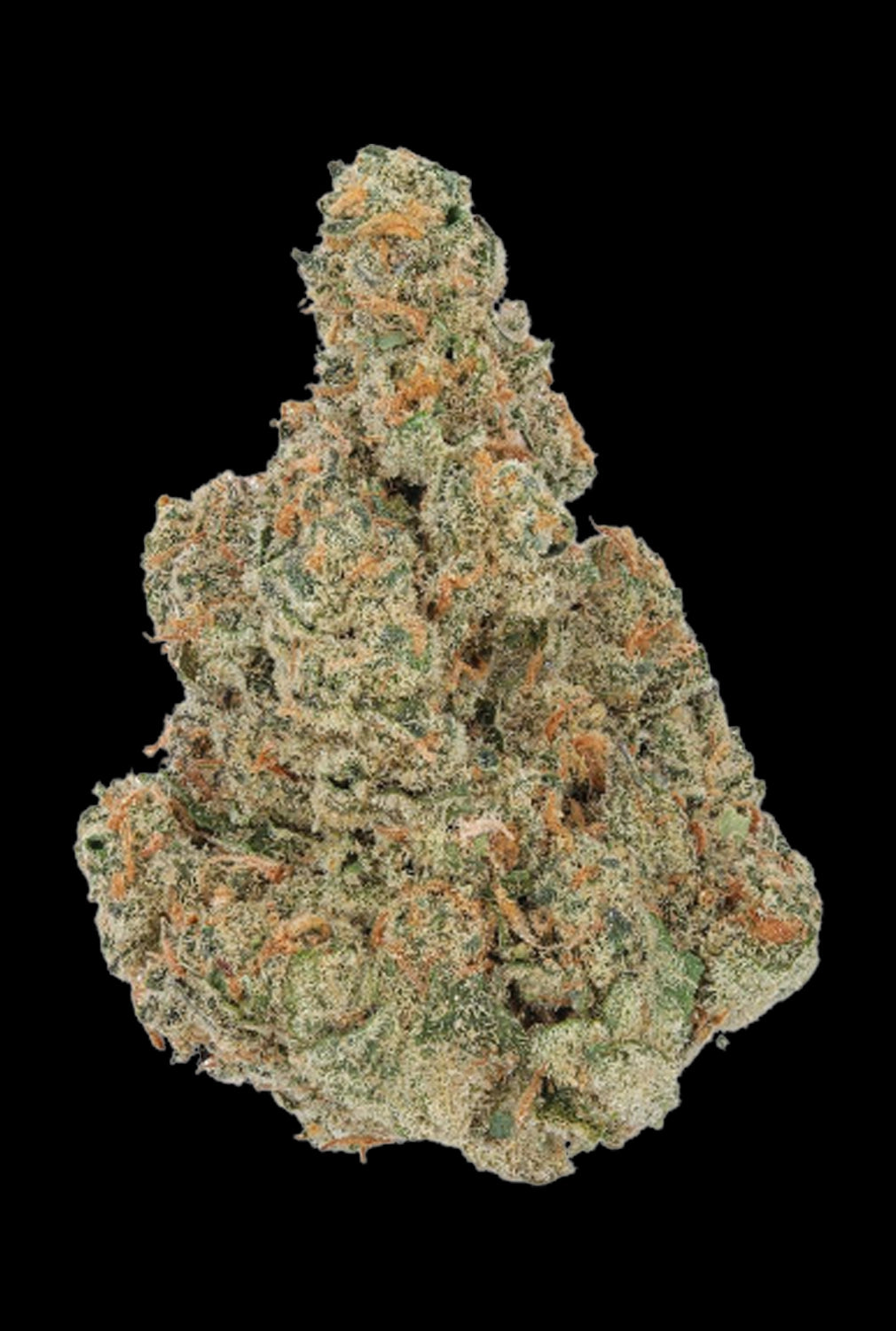 WNC CBD High THCA Indoor Living Soil Flower | 3.5g