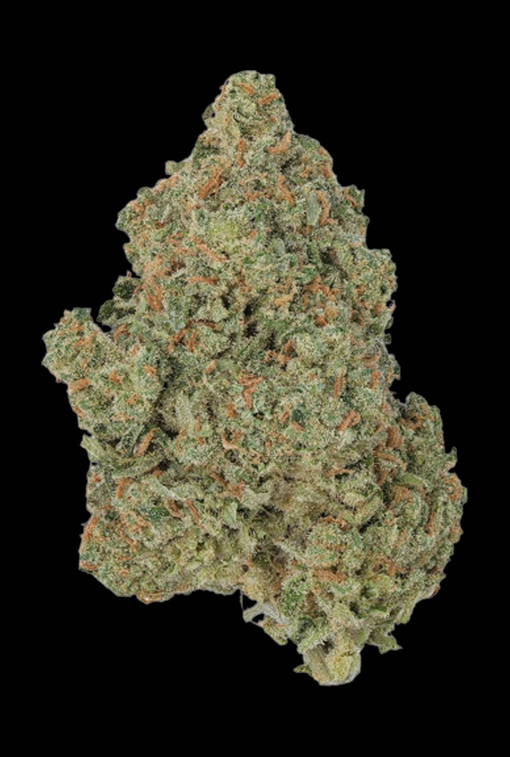 WNC CBD High THCA Indoor Living Soil Flower | 3.5g