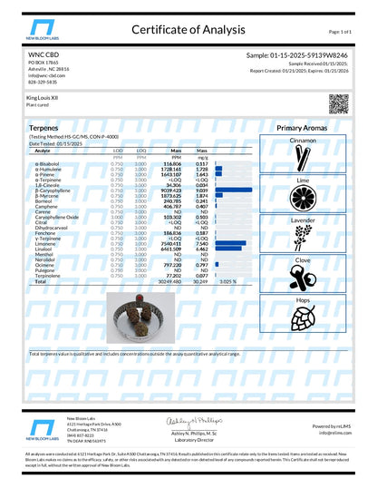 WNC CBD High THCA Indoor Hydro Flower | 3.5g