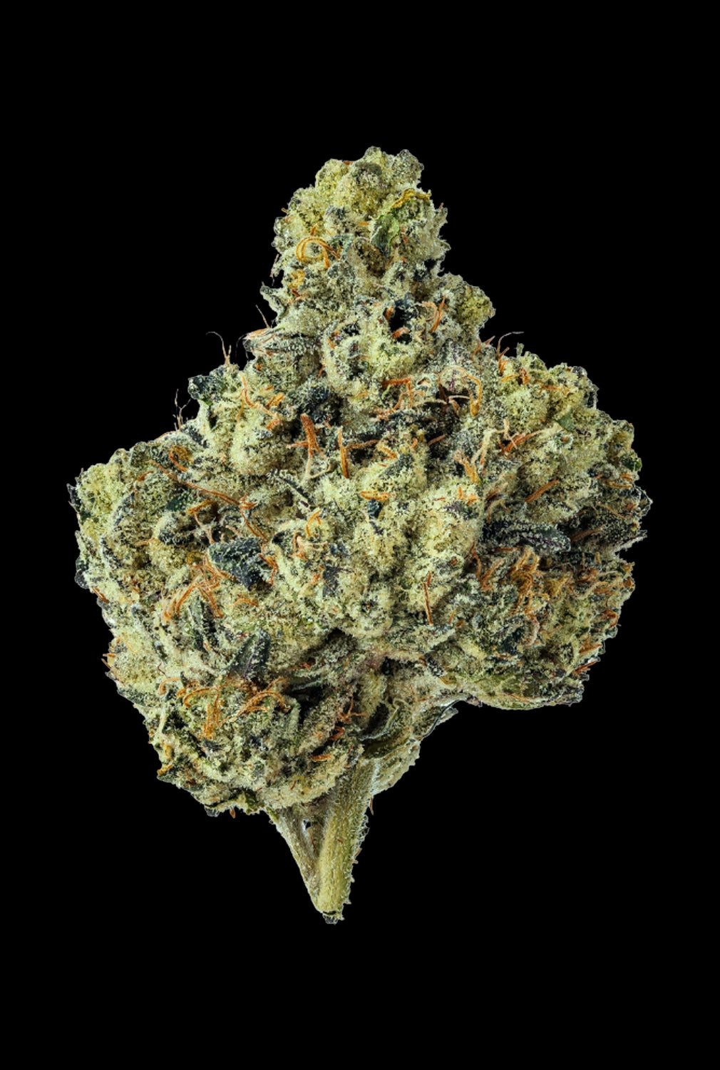 Papa's Herb WATERMELON Z INDOOR THCa FLOWER