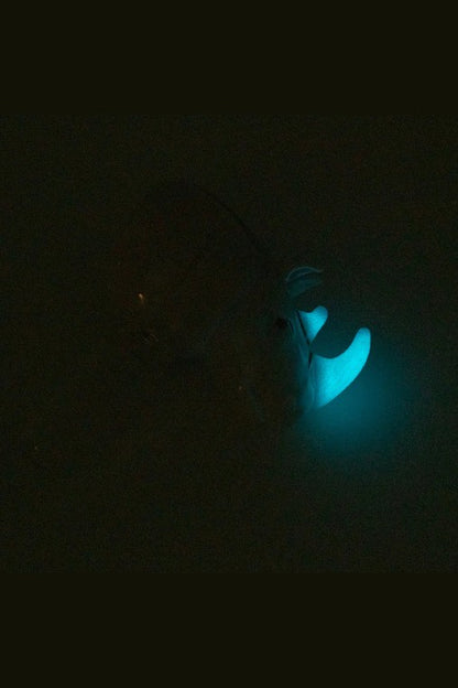 Glowing hands rolling cannabis in darkness.