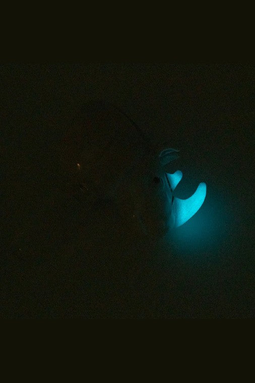 Glowing hands rolling cannabis in darkness.