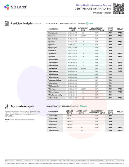 PAX High Purity D9 THC Gummies | 100mg | 10pc Pack