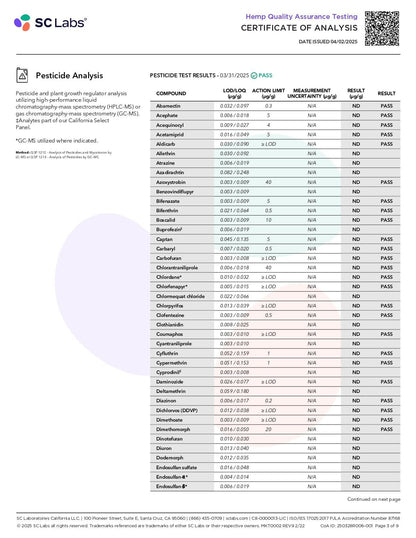 PAX High Purity D9 THC Gummies | 100mg | 10pc Pack