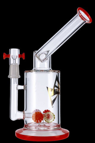 Evolution Discovery Dab Rig