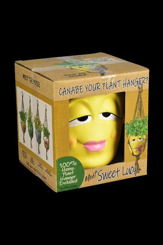 A cardboard box displays a cartoon avocado face labeled “Sweet Lucy” and advertises “Cane Be Your Plant Hanger?” with images of macrame plant hangers containing cannabis plants.
