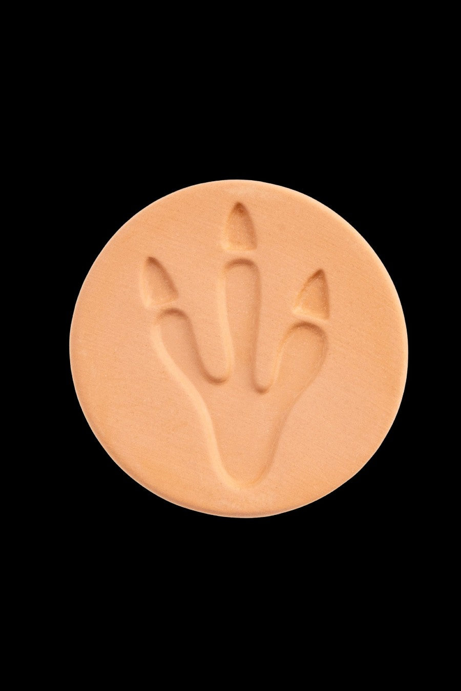 Round, tan cannabis concentrate disc with a stylized, embossed leaf design.