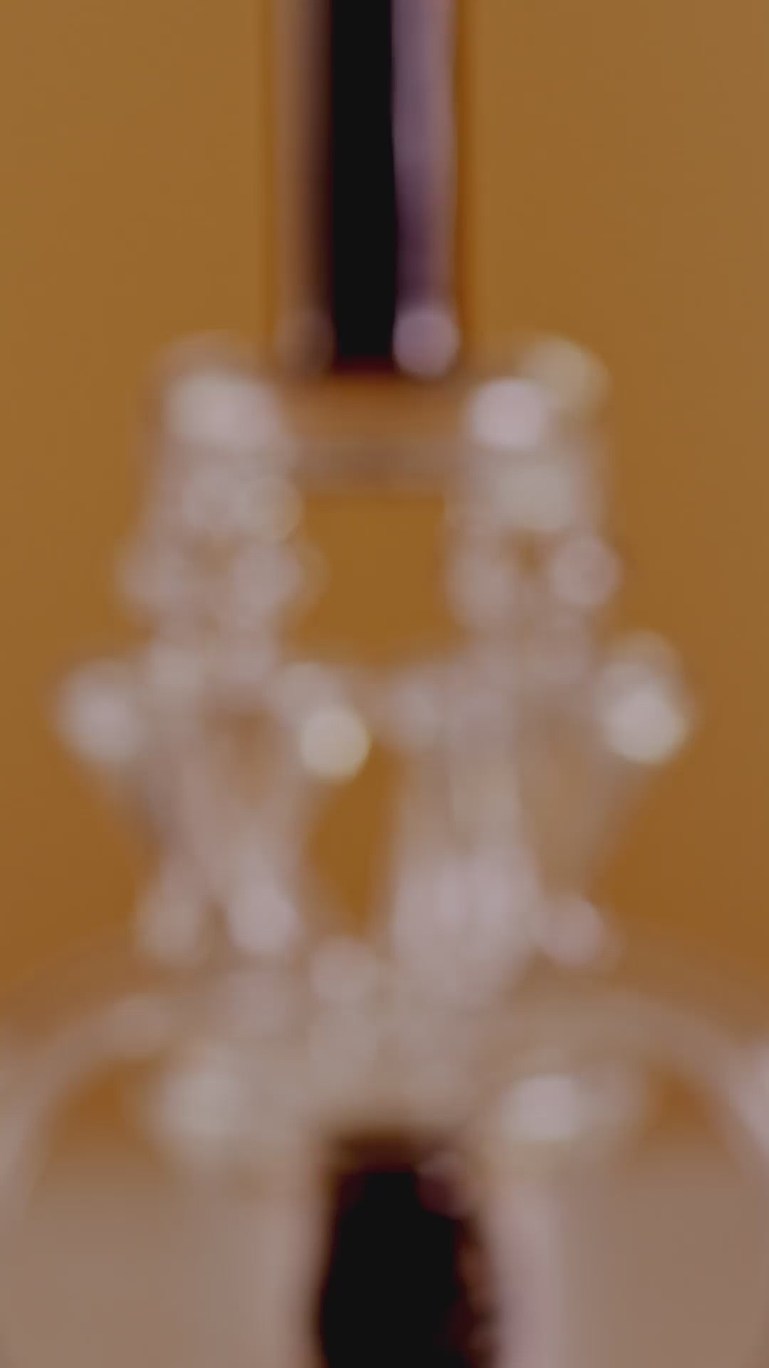 Load video: Lollipop Brand Arm Recyclers Nectar Collector