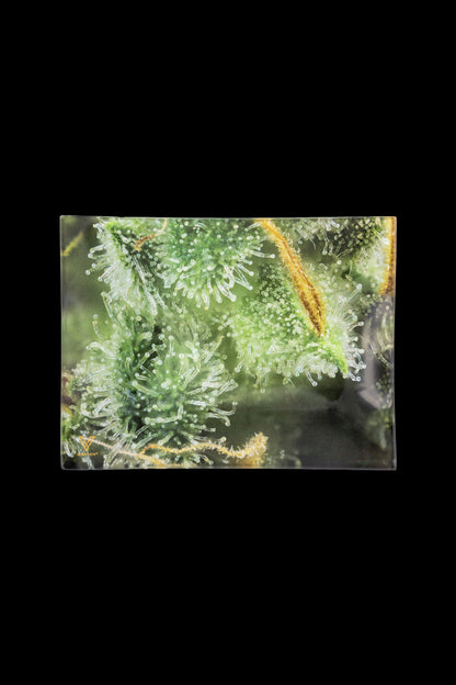 V Syndicate Glass Rolling Tray