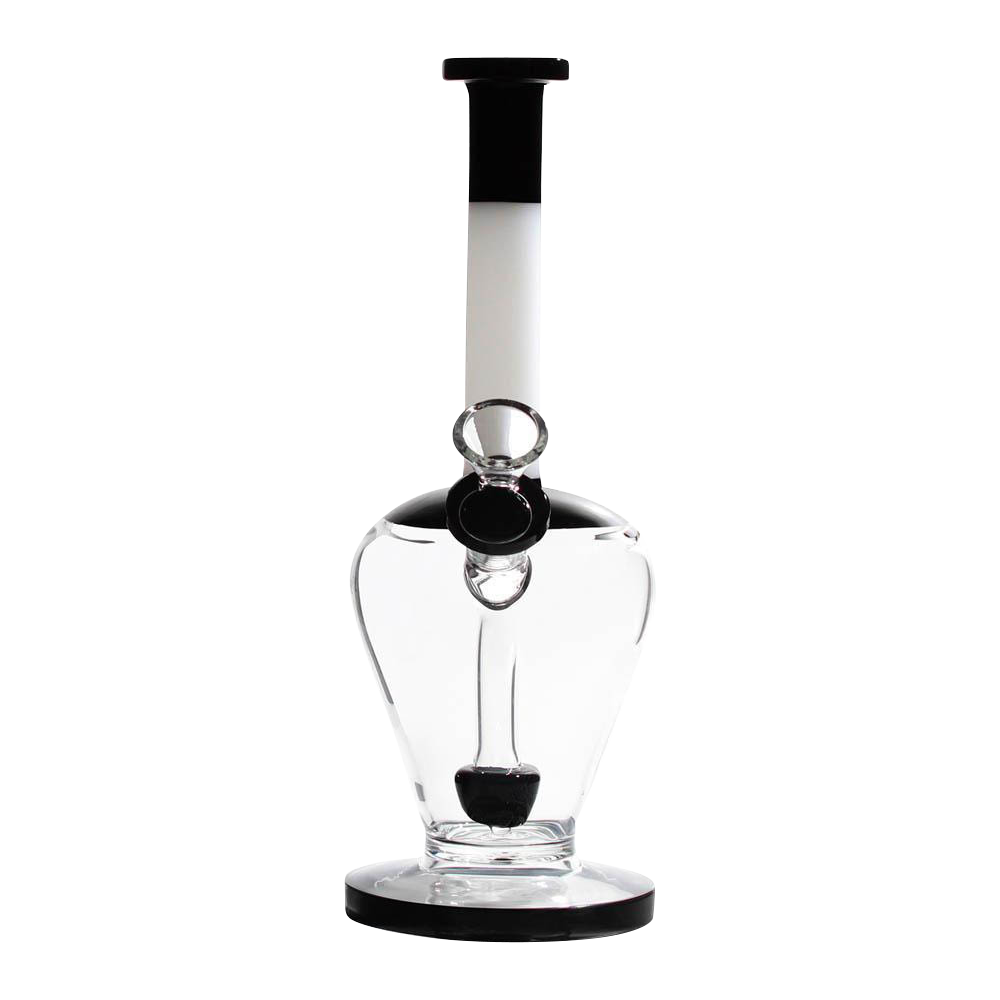 [WHITE][TRANSPARENT]