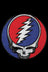 Grateful Dead Patch - Steal Your Face