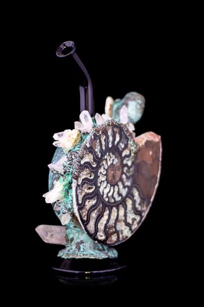 Intricate, handmade glass water pipe shaped like an ammonite fossil, adorned with quartz crystals and teal-colored detailing, set against a black background.