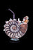 Envy Glass &quot;Ammonite&quot; Heady Dab Rig - Envy Glass &quot;Ammonite&quot; Heady Dab Rig