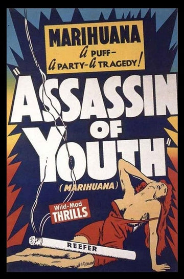 Assassin of Youth Poster