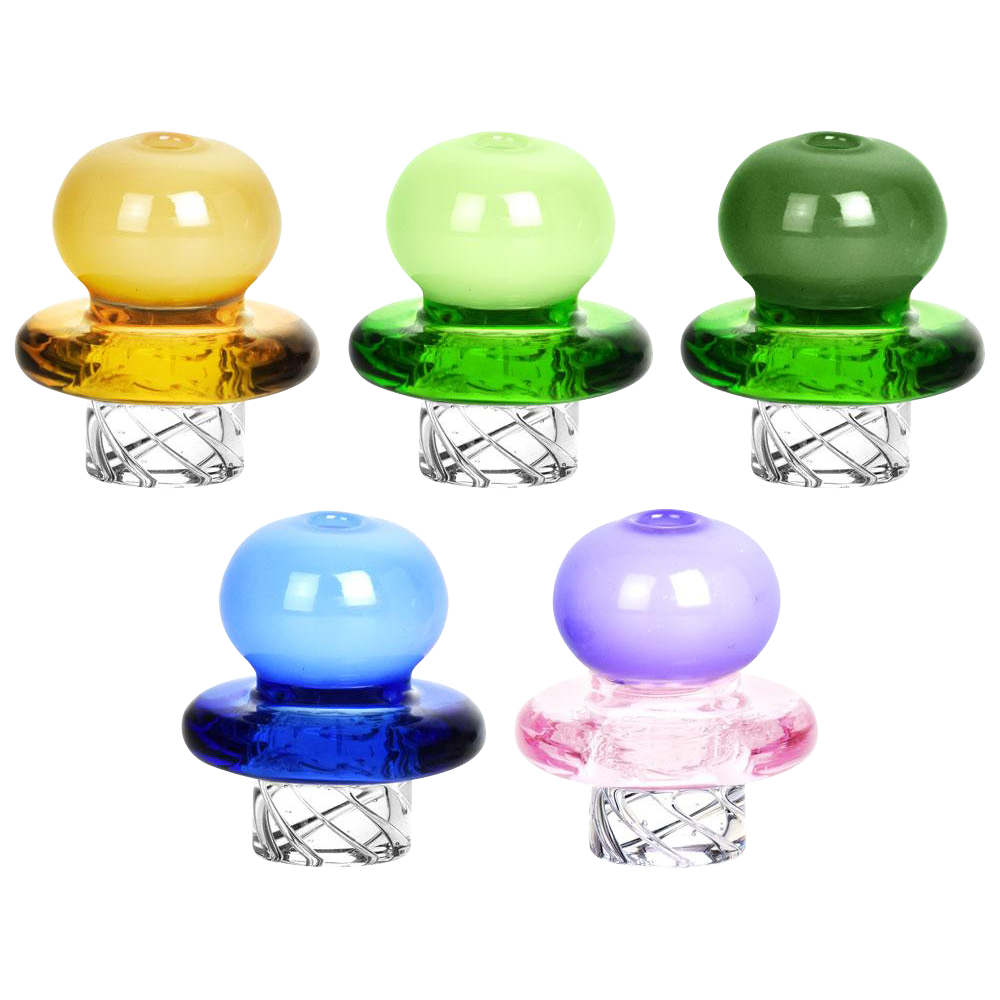 [WHITE][TRANSPARENT]