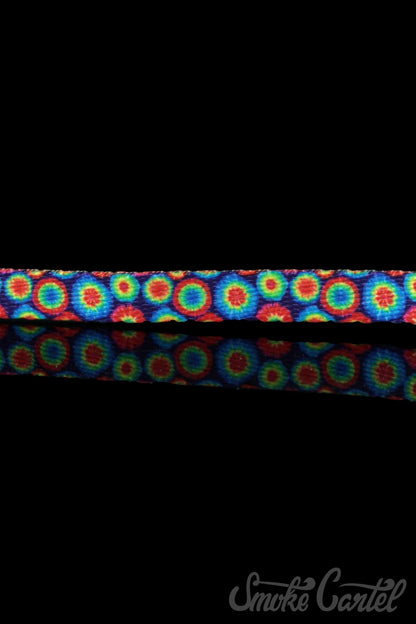Overhead shot of the HeadyPet Cat Collar, featuring a colorful, patterned design against a dark background.