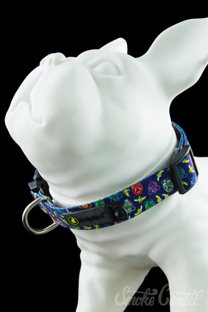 A close-up, angled shot of the HeadyPet OG Collar, featuring a colorful patterned fabric design and silver buckle hardware.