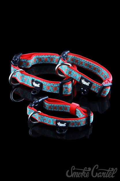 Large / Caribbean - HeadyPet Collar V2 - HeadyPet - 