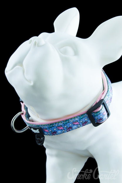 Large / Flying Pigs - HeadyPet Collar V2 - HeadyPet - 