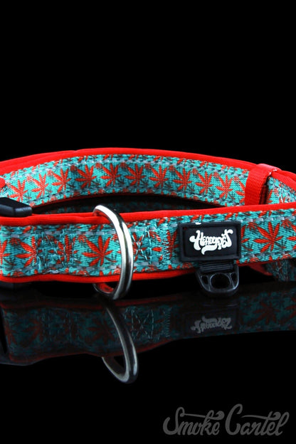 Large / Caribbean - HeadyPet Collar V2 - HeadyPet - 