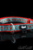 Large / Caribbean - HeadyPet Collar V2 - HeadyPet - - HeadyPet Collar V2