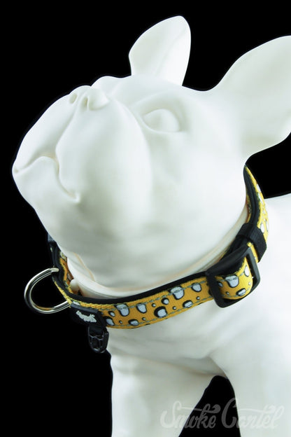 Large / Shatter - HeadyPet Collar V2 - HeadyPet - 