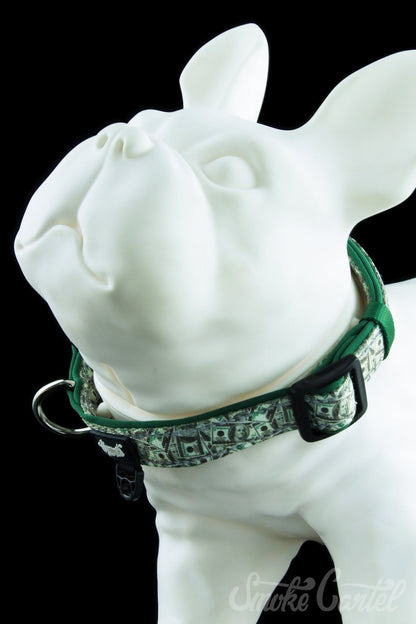 Large / Money - HeadyPet Collar V2 - HeadyPet - 
