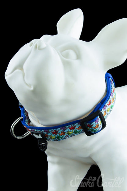 Large / Sharks - HeadyPet Collar V2 - HeadyPet - 